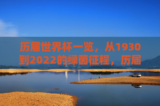 历届世界杯一览，从1930到2022的绿茵征程，历届世界杯绿茵征程，1930-2022全览