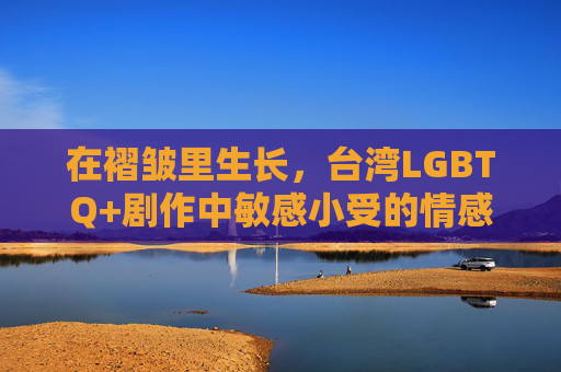 在褶皱里生长，台湾LGBTQ+剧作中敏感小受的情感肌理与性格密码，褶皱里生长，台湾LGBTQ+剧作中敏感小受的情感肌理与性格密码