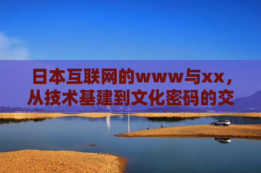 日本互联网的www与xx，从技术基建到文化密码的交织，日本互联网，技术基建与文化密码的交织