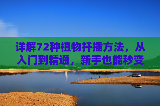 详解72种植物扦插方法，从入门到精通，新手也能秒变绿手指