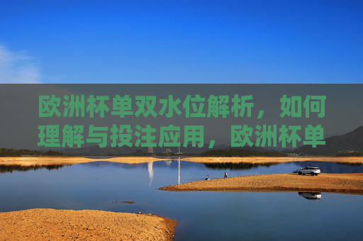 欧洲杯单双水位解析，如何理解与投注应用，欧洲杯单双水位解析与投注应用