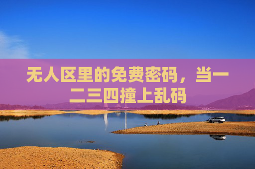 无人区里的免费密码，当一二三四撞上乱码