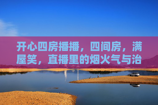 开心四房播播，四间房，满屋笑，直播里的烟火气与治愈力，开心四房直播，烟火气里的满屋笑与治愈力