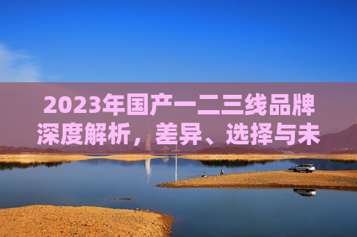 2023年国产一二三线品牌深度解析，差异、选择与未来趋势，2023年国产一二三线品牌深度解析，差异、选择与未来趋势