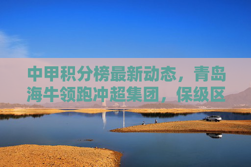 中甲积分榜最新动态，青岛海牛领跑冲超集团，保级区混战加剧，中甲积分榜，青岛海牛领跑冲超，保级区混战加剧