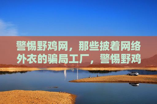 警惕野鸡网，那些披着网络外衣的骗局工厂，警惕野鸡网，披着网络外衣的骗局工厂