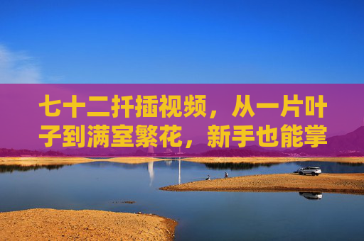 七十二扦插视频，从一片叶子到满室繁花，新手也能掌握的植物繁殖密码，从一片叶子到满室繁花，新手扦插繁殖密码