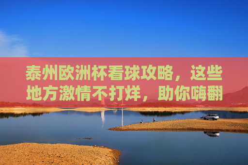 泰州欧洲杯看球攻略，这些地方激情不打烊，助你嗨翻夏日夜！泰州欧洲杯看球攻略，激情不打烊，嗨翻夏日夜！