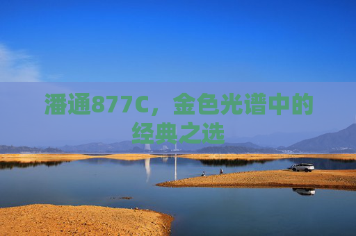 潘通877C，金色光谱中的经典之选