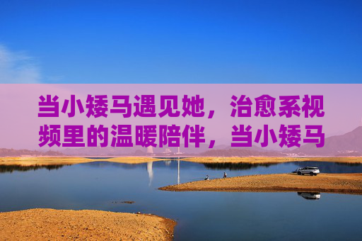 当小矮马遇见她，治愈系视频里的温暖陪伴，当小矮马遇见她，治愈系的温暖陪伴