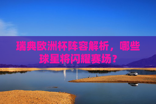 瑞典欧洲杯阵容解析，哪些球星将闪耀赛场？