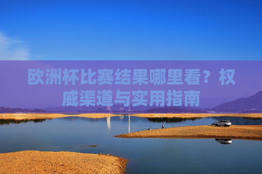 欧洲杯比赛结果哪里看？权威渠道与实用指南