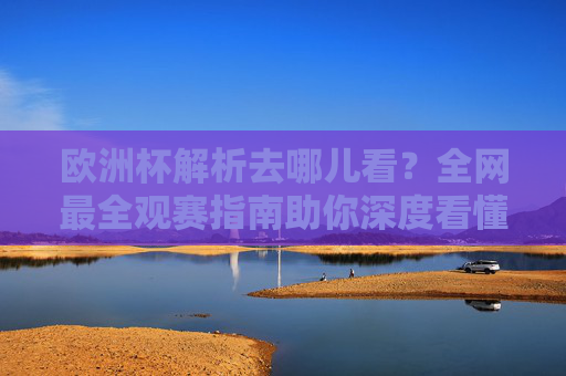 欧洲杯解析去哪儿看？全网最全观赛指南助你深度看懂赛事，全网最全欧洲杯观赛指南，解析助你深度看懂赛事