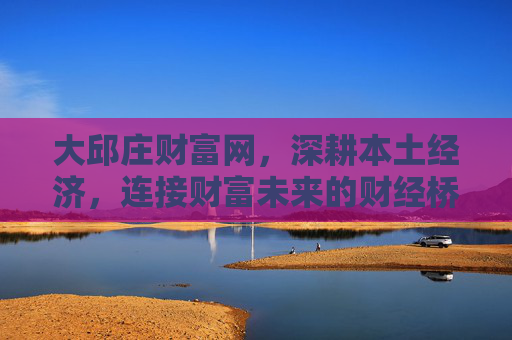 大邱庄财富网，深耕本土经济，连接财富未来的财经桥梁，大邱庄财富网，深耕本土，连接财富未来