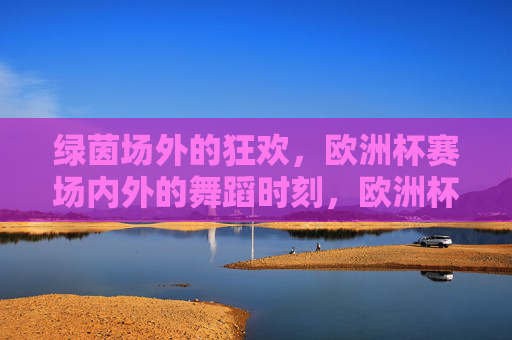 绿茵场外的狂欢，欧洲杯赛场内外的舞蹈时刻，欧洲杯赛场内外，舞蹈狂欢时刻