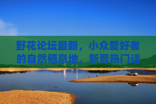 野花论坛最新，小众爱好者的自然栖息地，新晋热门话题全解析，野花论坛，小众爱好者的自然栖息地与新晋热门话题全解析