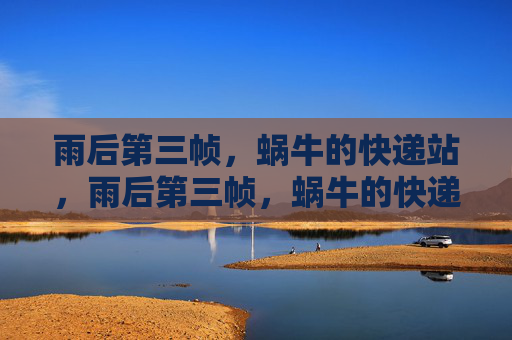 雨后第三帧，蜗牛的快递站，雨后第三帧，蜗牛的快递站