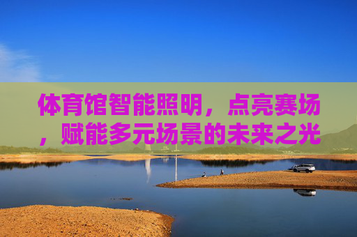 体育馆智能照明，点亮赛场，赋能多元场景的未来之光，体育馆智能照明，点亮赛场，赋能多元场景的未来之光