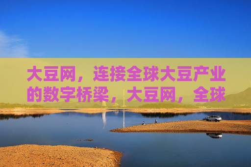 大豆网，连接全球大豆产业的数字桥梁，大豆网，全球大豆产业的数字桥梁