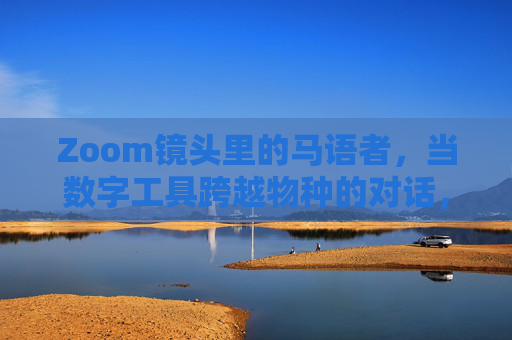 Zoom镜头里的马语者，当数字工具跨越物种的对话，马语者的Zoom镜头，跨越物种的数字对话