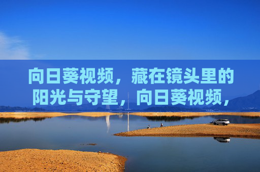 向日葵视频,藏在镜头里的阳光与守望,向日葵视频,镜头里的阳光与守望 向日葵视频,藏在镜头里的阳光与守望,向日葵视频,镜头里的阳光与守望
