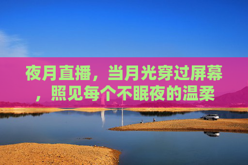 夜月直播,当月光穿过屏幕,照见每个不眠夜的温柔 夜月直播,当月光穿过屏幕,照见每个不眠夜的温柔