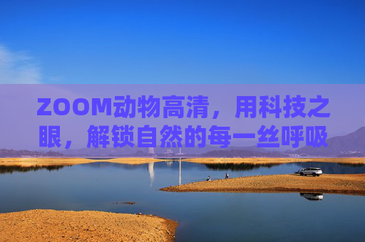 ZOOM动物高清,用科技之眼,解锁自然的每一丝呼吸,科技之眼,ZOOM解锁动物自然的每一丝呼吸 ZOOM动物高清,用科技之眼,解锁自然的每一丝呼吸,科技之眼,ZOOM解锁动物自然的每一丝呼吸