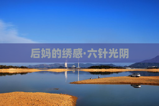 后妈的绣感·六针光阴 后妈的绣感·六针光阴