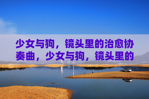 少女与狗,镜头里的治愈协奏曲,少女与狗,镜头里的治愈协奏曲 少女与狗,镜头里的治愈协奏曲,少女与狗,镜头里的治愈协奏曲