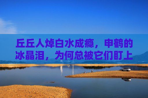 丘丘人焯白水成瘾,申鹤的冰晶泪,为何总被它们盯上?丘丘人为何对申鹤冰晶泪成瘾? 丘丘人焯白水成瘾,申鹤的冰晶泪,为何总被它们盯上?丘丘人为何对申鹤冰晶泪成瘾?