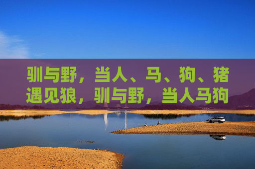 驯与野,当人、马、狗、猪遇见狼,驯与野,当人马狗猪遇见狼 驯与野,当人、马、狗、猪遇见狼,驯与野,当人马狗猪遇见狼
