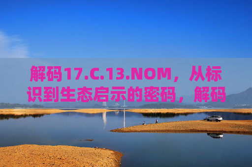解码17.C.13.NOM，从标识到生态启示的密码，解码17.C.13.NOM，标识到生态启示的密码