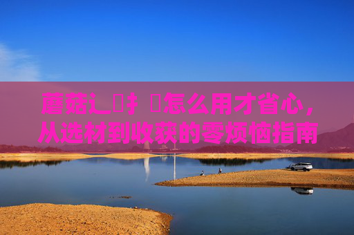 蘑菇辶喿扌畐怎么用才省心,从选材到收获的零烦恼指南,蘑菇种植省心全指南,从选材到收获的零烦恼攻略 蘑菇辶喿扌畐怎么用才省心,从选材到收获的零烦恼指南,蘑菇种植省心全指南,从选材到收获的零烦恼攻略