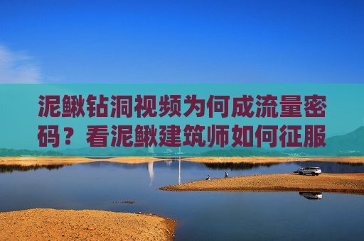 泥鳅钻洞视频为何成流量密码？看泥鳅建筑师如何征服你的屏幕，泥鳅建筑师，钻洞视频的流量密码