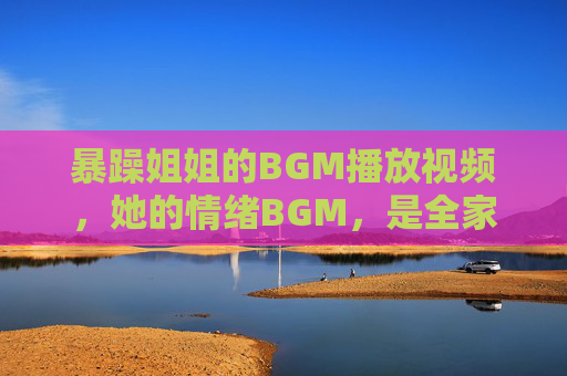 暴躁姐姐的BGM播放视频，她的情绪BGM，是全家的生存指南，暴躁姐姐的情绪BGM，全家生存指南