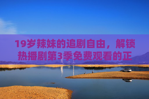 19岁辣妹的追剧自由，解锁热播剧第3季免费观看的正确姿势，19岁辣妹的追剧自由，解锁热播剧第3季免费观看正确姿势