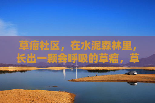 草瘤社区，在水泥森林里，长出一颗会呼吸的草瘤，草瘤社区，水泥森林里的一颗会呼吸的草瘤