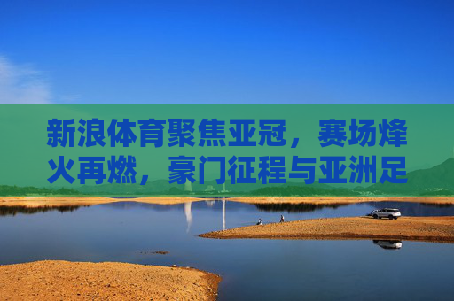 新浪体育聚焦亚冠，赛场烽火再燃，豪门征程与亚洲足球的共鸣，亚冠烽火再燃，豪门征程与亚洲足球的共鸣