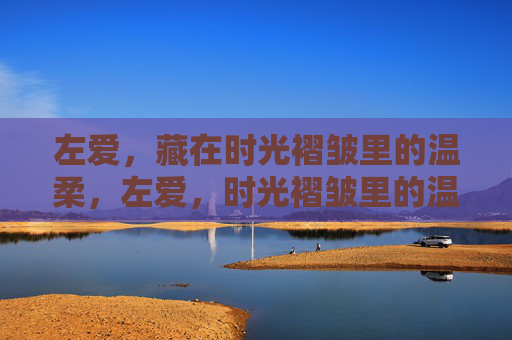 左爱,藏在时光褶皱里的温柔,左爱,时光褶皱里的温柔 左爱,藏在时光褶皱里的温柔,左爱,时光褶皱里的温柔