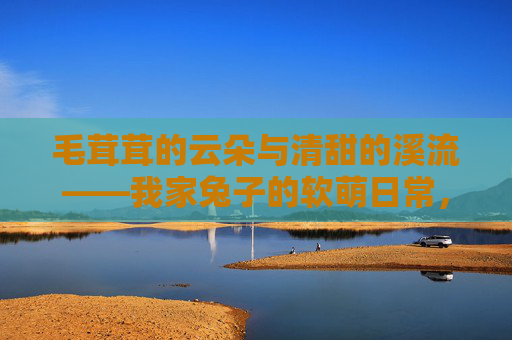 毛茸茸的云朵与清甜的溪流——我家兔子的软萌日常,每一帧都是图片 毛茸茸的云朵与清甜的溪流——我家兔子的软萌日常,每一帧都是图片