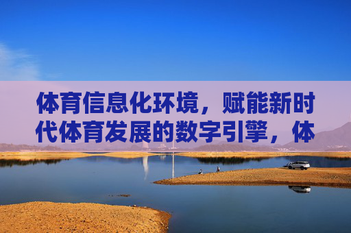体育信息化环境，赋能新时代体育发展的数字引擎，体育信息化环境，赋能新时代体育发展的数字引擎