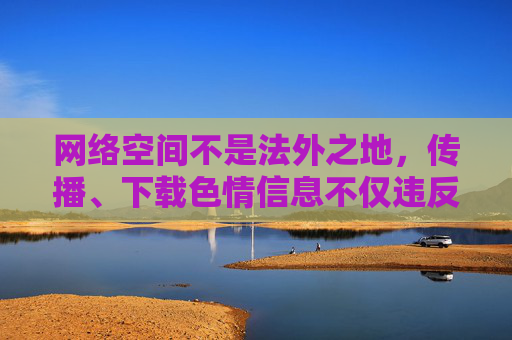网络空间不是法外之地，传播、下载色情信息不仅违反法律法规，更会对个人身心健康和社会风气造成严重危害。我们应当自觉抵制不良信息，树立正确的网络使用观念，共同营造清朗、健康、文明的网络环境，网络非法外之地，共护清朗网络空间