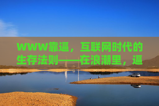 WWW靠逼，互联网时代的生存法则——在浪潮里，逼自己成为掌舵人，WWW靠逼，互联网时代的生存与掌舵法则