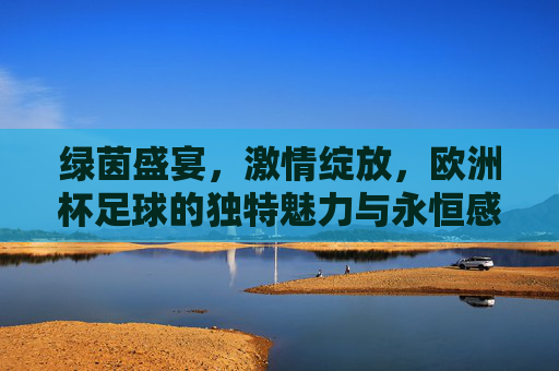 绿茵盛宴,激情绽放,欧洲杯足球的独特魅力与永恒感动,绿茵盛宴,欧洲杯足球的独特魅力与永恒感动 绿茵盛宴,激情绽放,欧洲杯足球的独特魅力与永恒感动,绿茵盛宴,欧洲杯足球的独特魅力与永恒感动