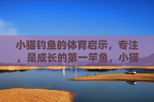 小猫钓鱼的体育启示,专注,是成长的第一竿鱼,小猫钓鱼,专注是成长的第一竿鱼 小猫钓鱼的体育启示,专注,是成长的第一竿鱼,小猫钓鱼,专注是成长的第一竿鱼
