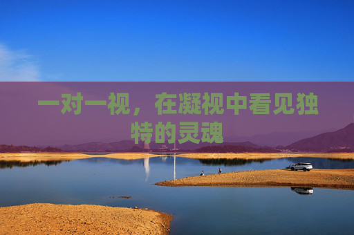 一对一视,在凝视中看见独特的灵魂 一对一视,在凝视中看见独特的灵魂