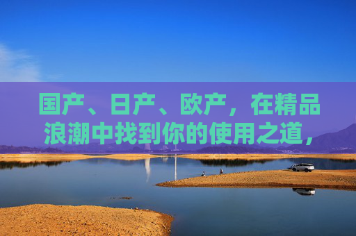国产、日产、欧产,在精品浪潮中找到你的使用之道,精品浪潮下,国产日产欧产的使用之道 国产、日产、欧产,在精品浪潮中找到你的使用之道,精品浪潮下,国产日产欧产的使用之道