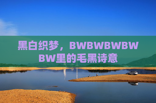 黑白织梦，BWBWBWBWBW里的毛黑诗意
