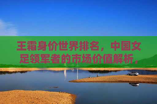王霜身价世界排名,中国女足领军者的市场价值解析,王霜身价世界排名与市场价值解析 王霜身价世界排名,中国女足领军者的市场价值解析,王霜身价世界排名与市场价值解析