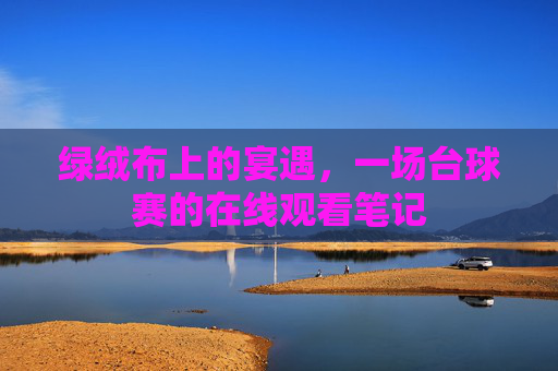 绿绒布上的宴遇,一场台球赛的在线观看笔记 绿绒布上的宴遇,一场台球赛的在线观看笔记